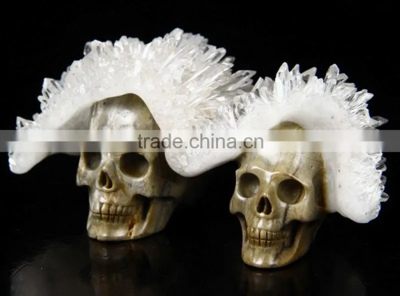 Western New design crystal Skull model for sale