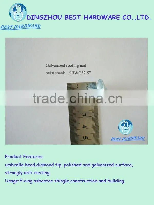 Ring shank galvanized roofing nail with umbrella head