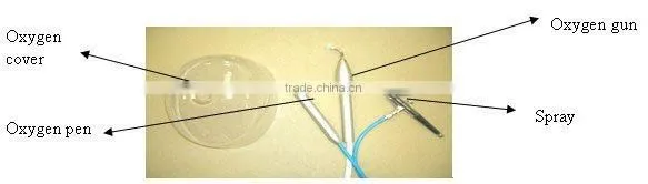 WF-05 Oxygen infusion skin care machine