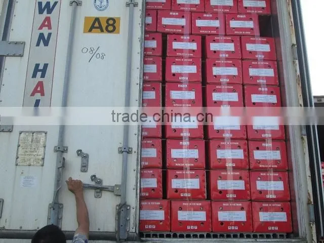 Vietnam Dragon Fruit with high quality and Best Price