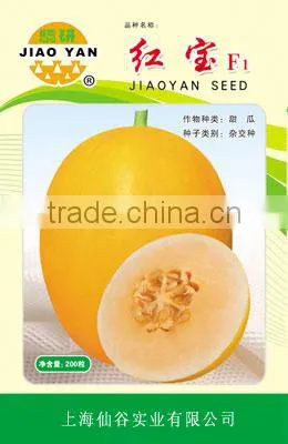 Big Fruit Hybrid Yellow Sweet Melon Seeds For Planting-Red Baby F1