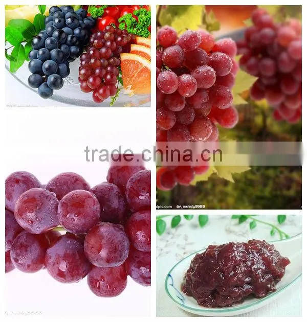 Hot sale ! fruit pulp extractor machine