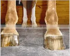 Dense stud Rubber Stable Mat, Cow Mat, Rubber Flooring for Horse