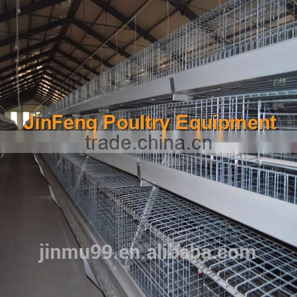 new design hot sale chicken Broiler Chicken