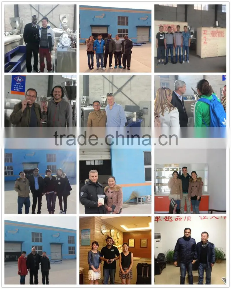 New condition full automatic Panko Bread Crumbs making machine