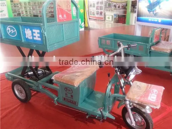 650W farm electric cargo box tricycle/ liftable and lowerable