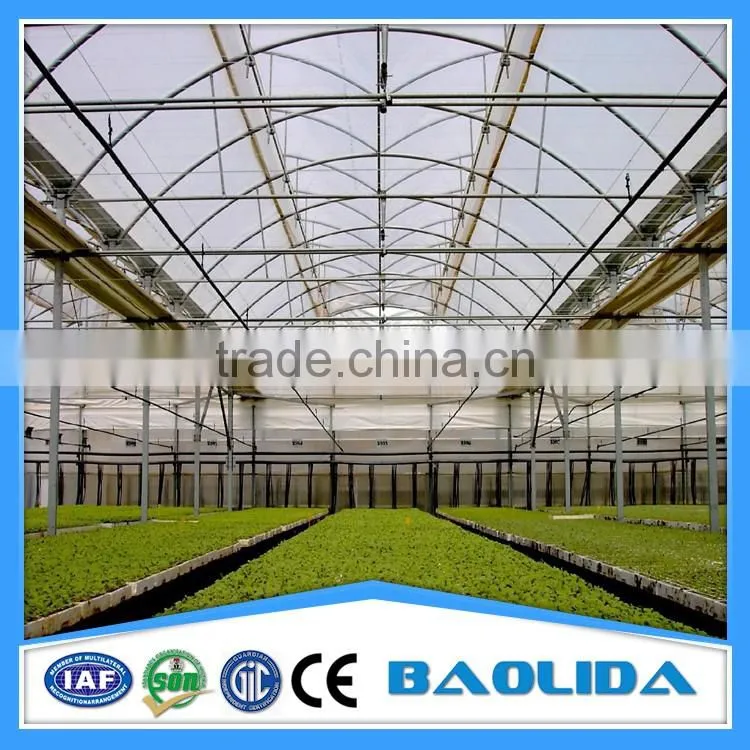 cheap tunnel greenhouse