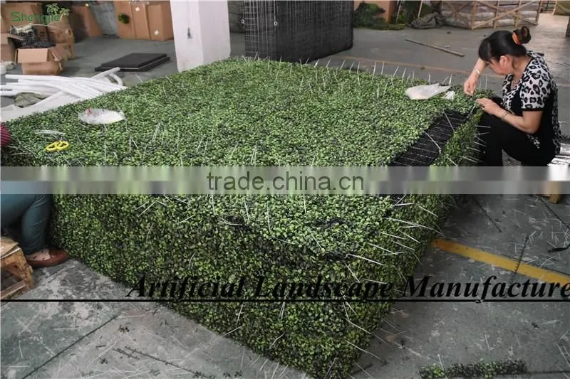 SAS016013 Artificial Boxwood wall,Iron Plastic Boxwood Fence
