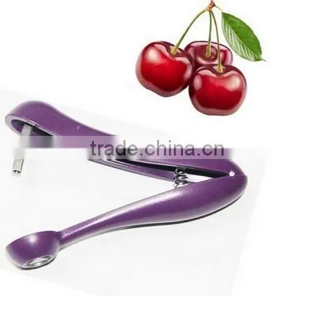 wholesale manual cherry pitter cherry corer commercial cherry pitter