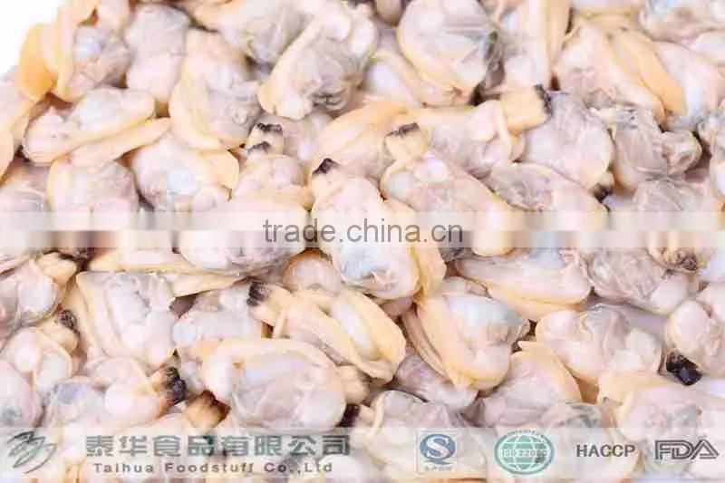 Frozen new boiled local special seafood yellow clam meat from Liaoning province