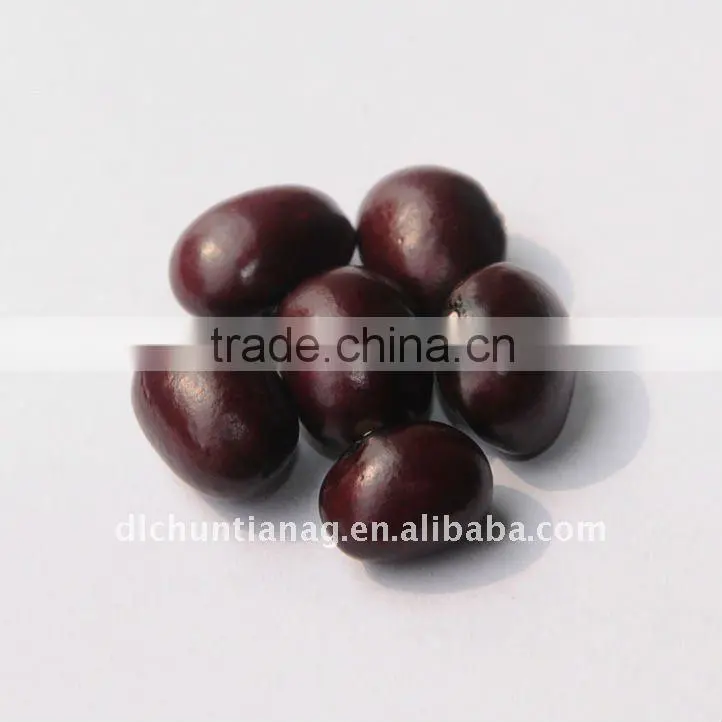 Purple round kidney bean
