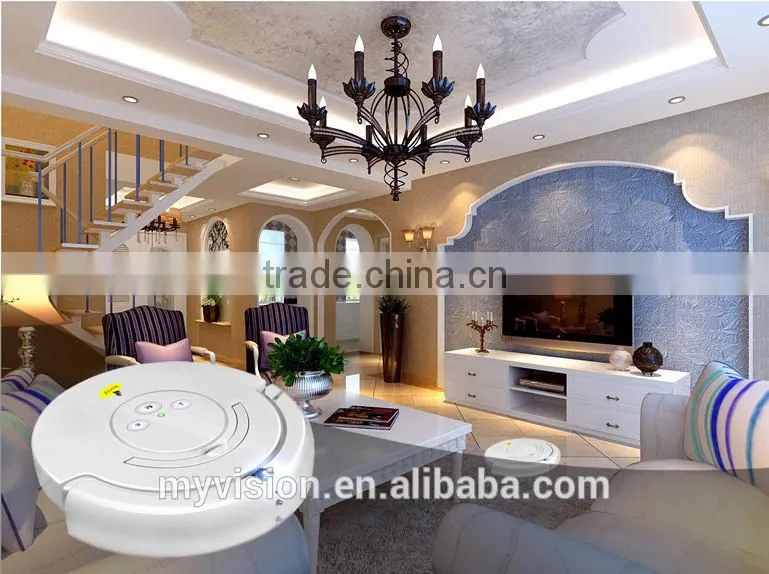 Outdoor vacuum cleaner with vacuum cleaner motor and road sweeper brushes