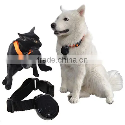 MD1113 mini digital dog camera