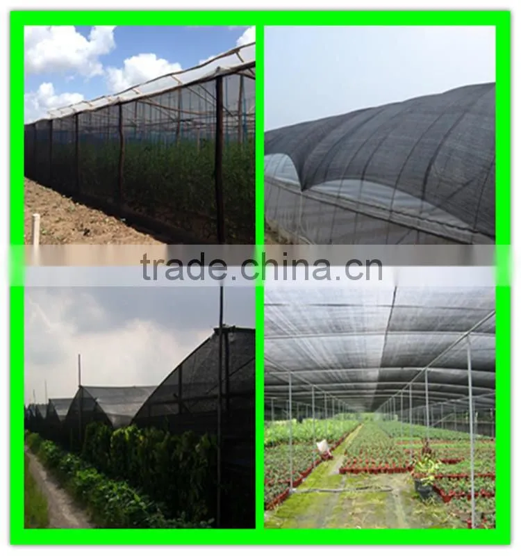 china manufacture export high quality dark green garden netting