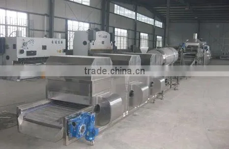 Kaier frying production line