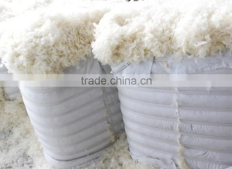 2-4cm washed white goose feather
