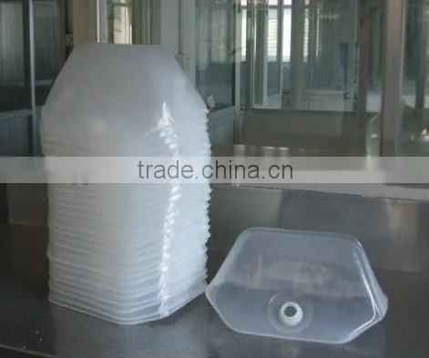 collapsible water container