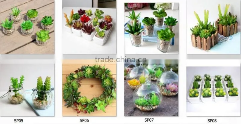 2016 Latest Design Artificial Succulent Pot Succulent Plants For Sale