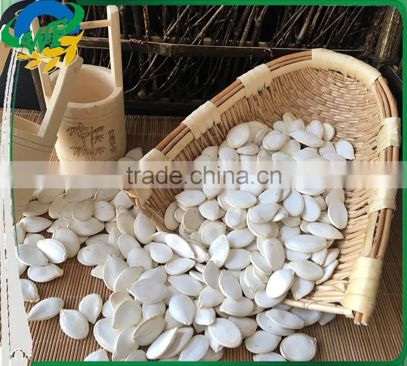 snow white pumpkin seed in shell