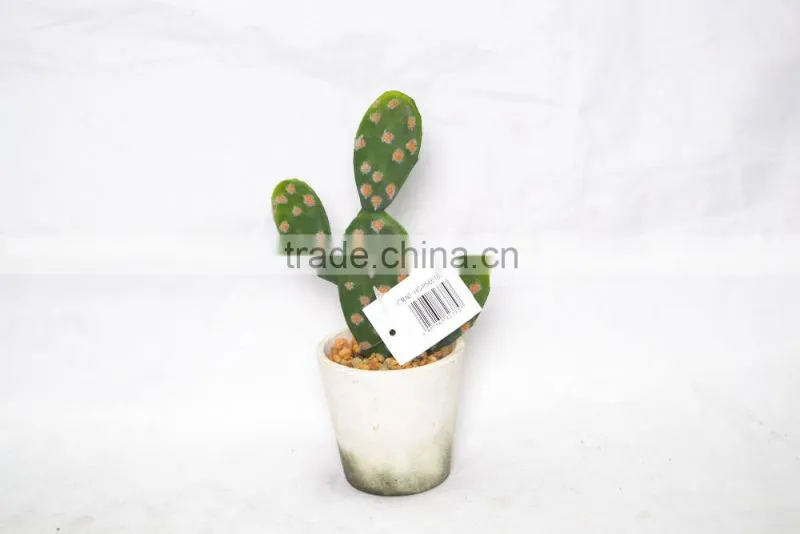 Mini Cactus with cement pot for decoration