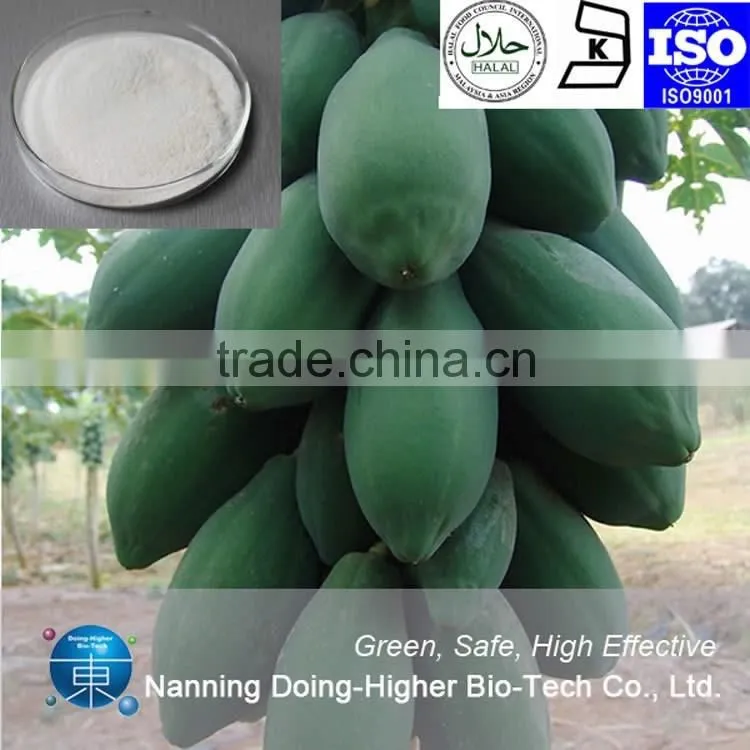 100% natural High quality papaya powder factory supply dry papaya powder