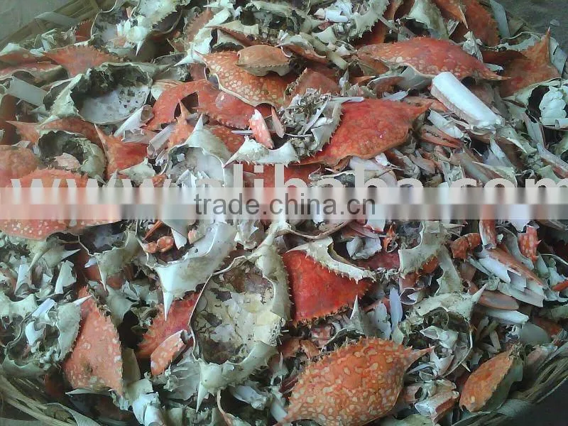 Sun Dried Shrimp Shell /Crab Shell Shrimp Shell Dried Shrimp