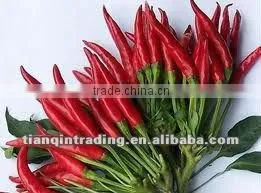 red chilli