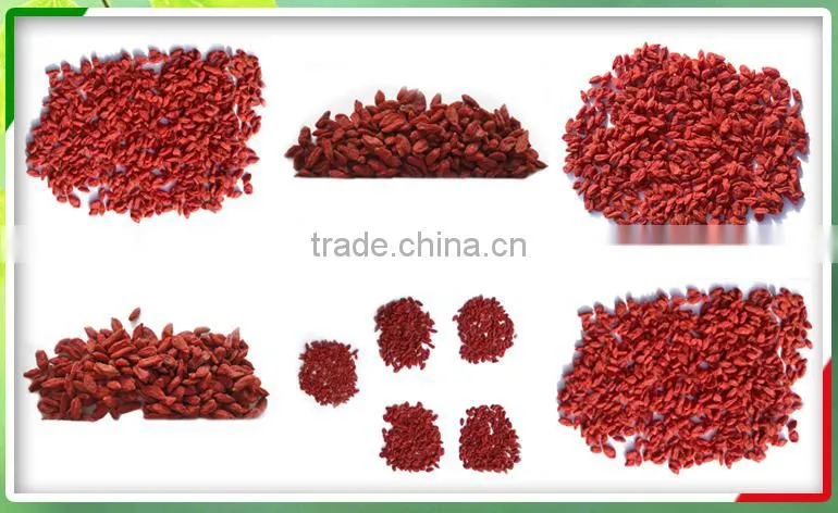 certified ningxia goji berries