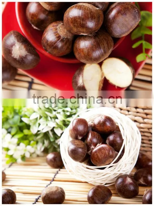 Organic chestnuts