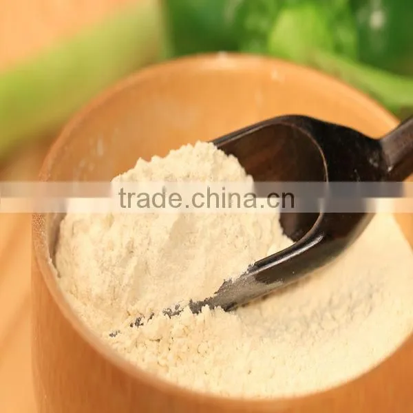 Direct Factory Supply garlic powder 80-100 mesh
