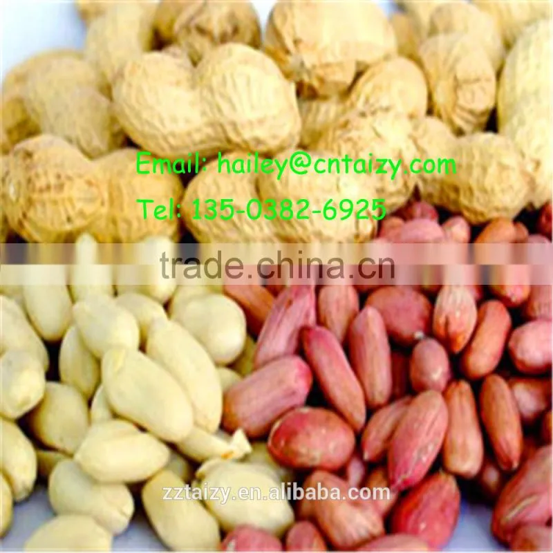 Taizy roasted peanut red skin peeling machine /dry peanut skin peeling machine