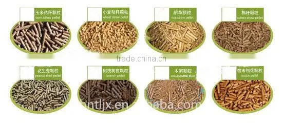 Top selling best popular wood pellet machine / animal feed pellet machine