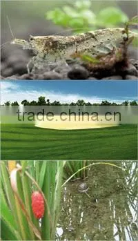 High quality natural zeolite zsm-5/zeolite zsm-5 for water filtration