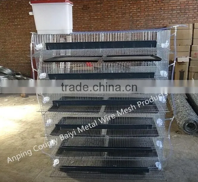 Layer Quail Cages For Sale From Direct Factory