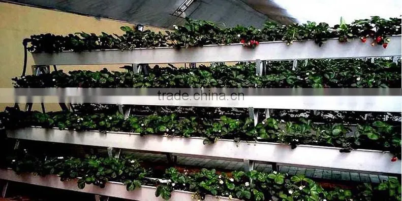 Hydroponic gutter with food grade
