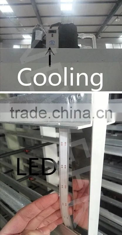 Neweek combine heating tube hydroponic wheat corn alfalfa sprouting machine