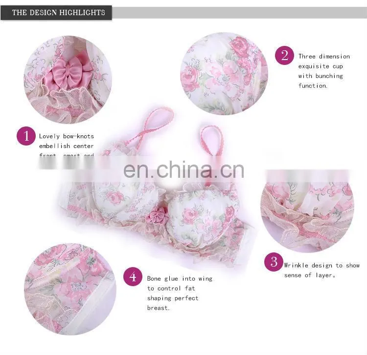 Hot Sale Graceful Price Of The Bra Price And Penty