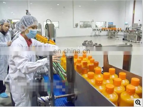 Customized Compound fruit juice processing line Mango peeled Pitting machine