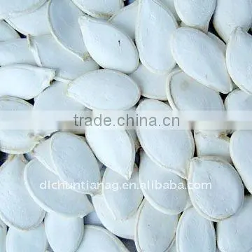 Pumpkin seed