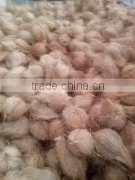 Fresh vegetables from asian countrt