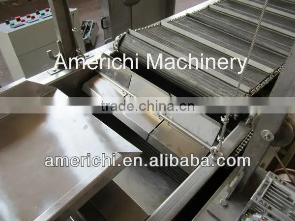 Nik Naks food extruder in Zimbabwe