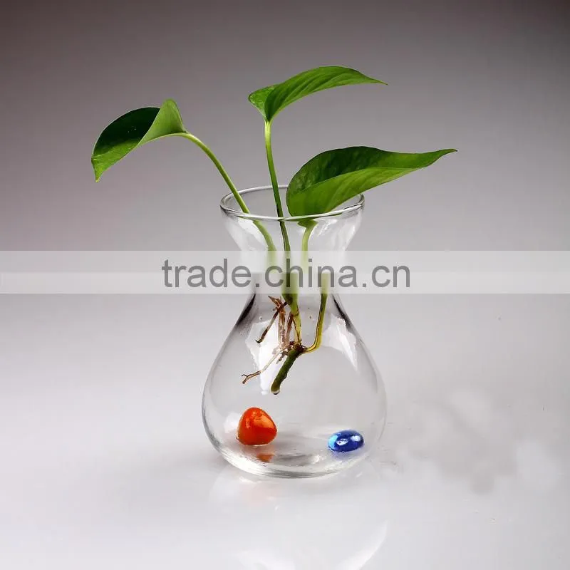 hyacinth glass vase glass jar