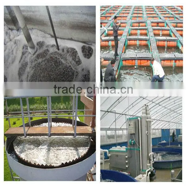 water filter for air compressor
