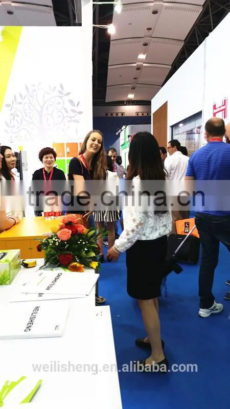 Luoyang Single door Steel Locker Knock Down Metal Cabinet