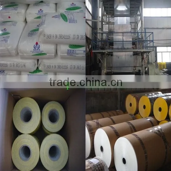 water transfer printing film