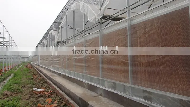 200 Micro UV Film Greenhouse With Cooling Pad And Fan