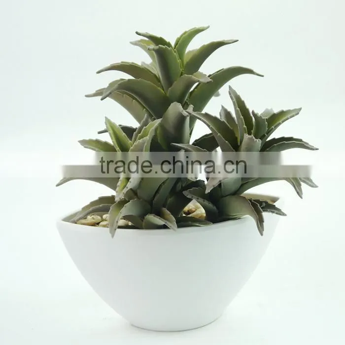 Environmental Artificial Aloe Bonsai For Decoration