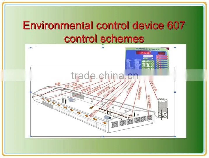 chicken poultry farm equipment