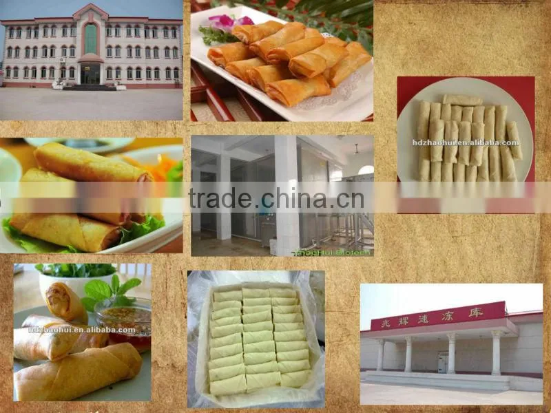 Frozen Spring Roll