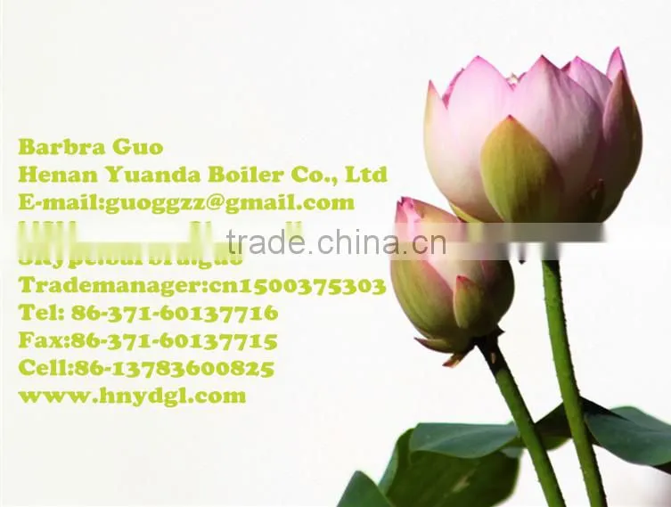0.3t LNB series of steam boiler for hotel and bath center